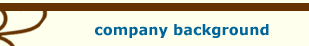 Company Background